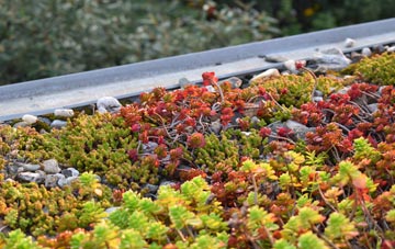 the cost of Thackthwaite green roof installation