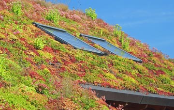 Thackthwaite living roof systems
